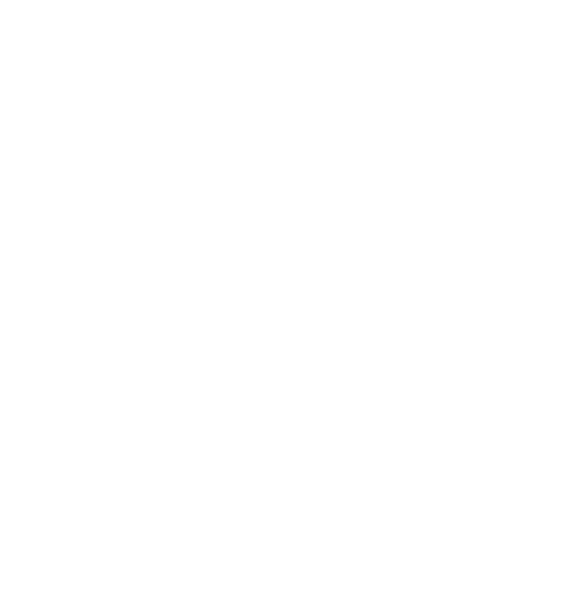 De Brug logo